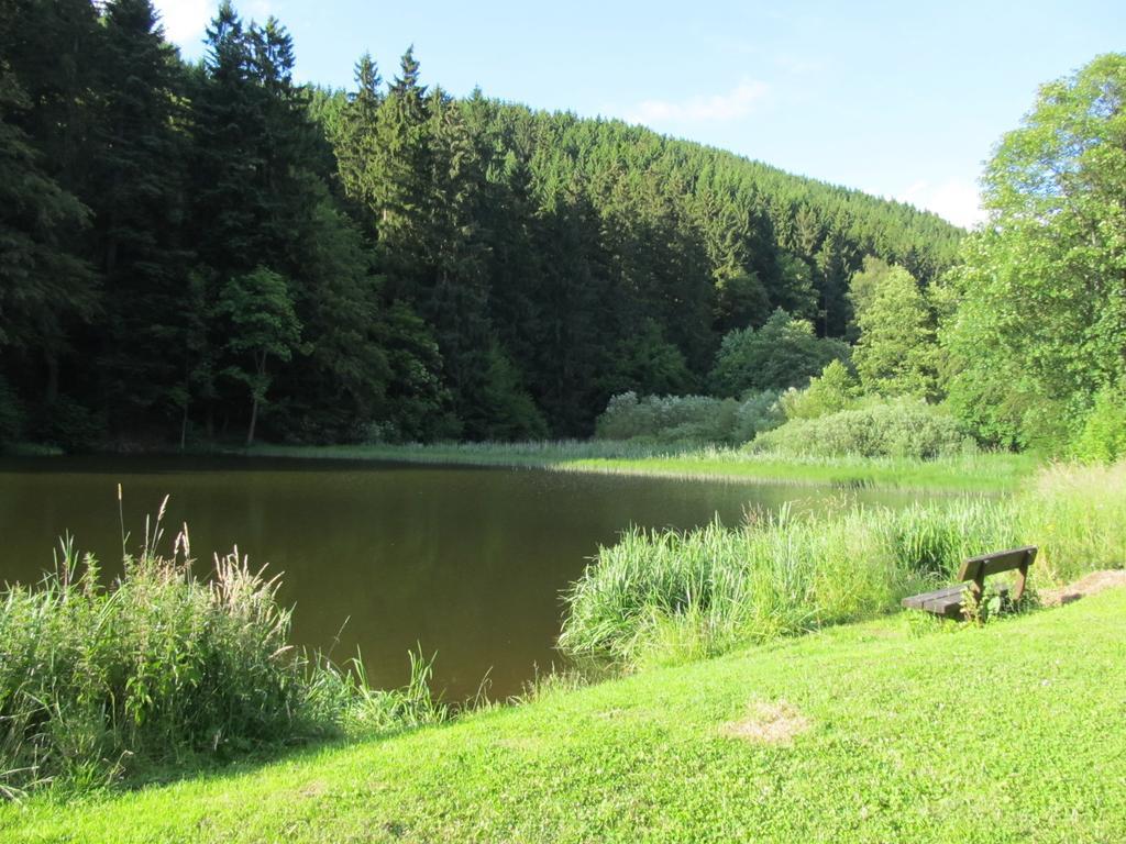 Appartamento Hexenstieg House Lerbach Osterode am Harz Esterno foto
