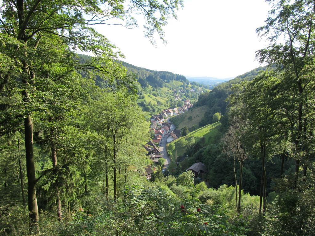 Appartamento Hexenstieg House Lerbach Osterode am Harz Esterno foto